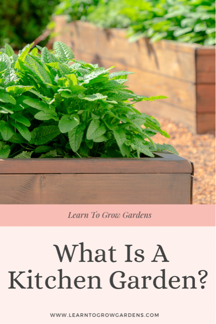 What Is A Kitchen Garden?