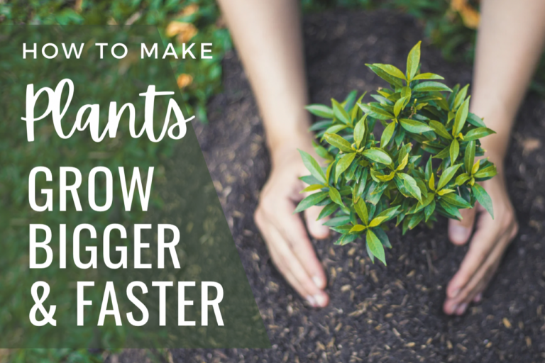 25 Easy Ways To Make Plants Grow Bigger and Faster: A How-To Guide To Growing Healthy, Happy Plants