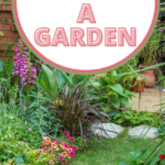 mixed border garden with pathway down the middle and words 15 reasons to start a garden