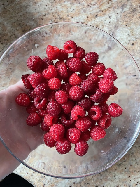 Bowl of freshly picked raspberries from a backyard raspberry patch