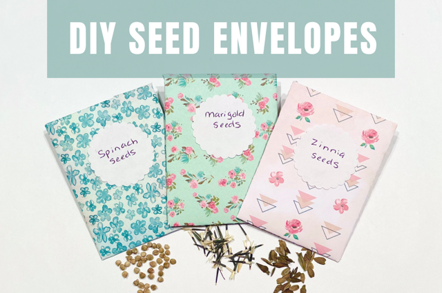 DIY Seed Packet Template: FREE Printable To Make Your Own Seed Envelopes