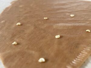 Pepper seeds on a wet brown coffee filter for germinating seeds in plastic baggie.