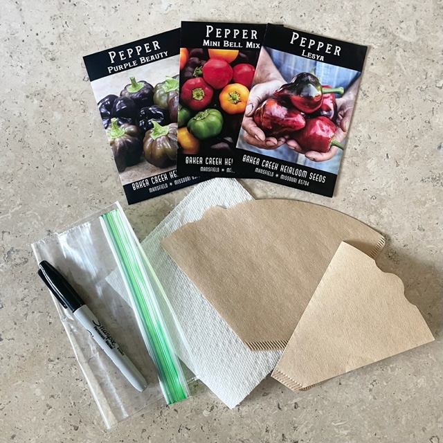 Pepper seeds, coffee filters, paper towel, plastic bag, and permanent marker on marble table