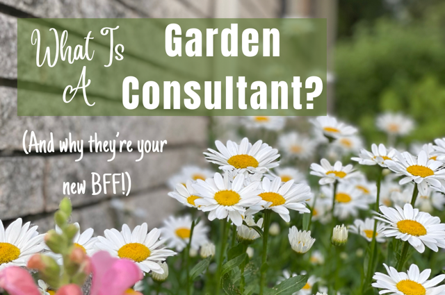 What is a Garden Consultant? And why they’re your new BFF