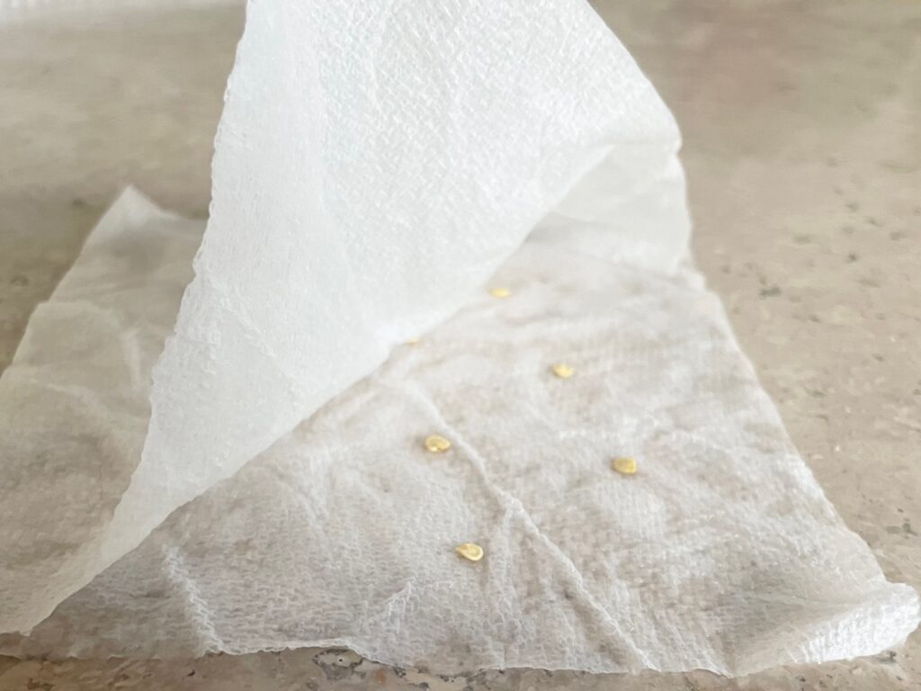 Tiny pepper seeds sandwiched inside a damp paper towel