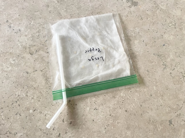 paper towel inside bag labeled lesya pepper with straw slipped inside bag