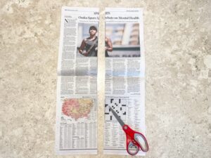 Sheet of newspaper cut in half