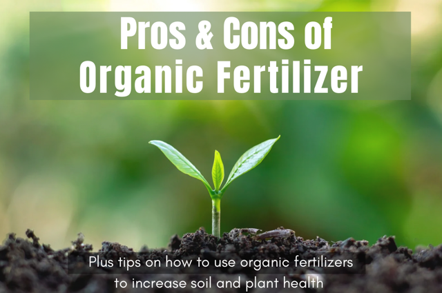 Pros and Cons of Organic Fertilizers And How To Use Them