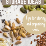 different types of seeds, seeds in storage pinterest pin