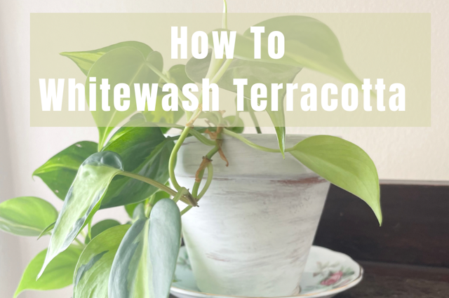 How To Whitewash Terracotta Pots: An Easy DIY Garden Project To Create A Vintage Look