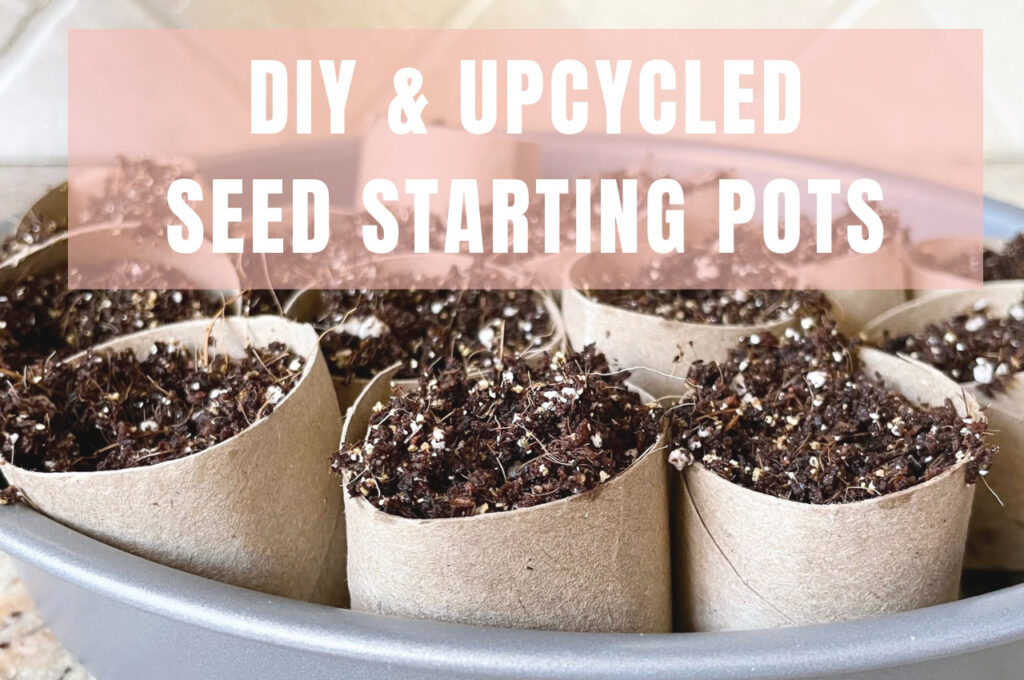 toilet paper tubes filled with seed starting mix for a diy seed starting pot idea