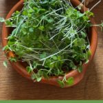 microgreens in bowl with bread and knife in background