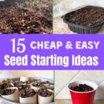 various seed starting ideas pic collage, including toilet paper tube pots, plastic cups, diy seed packets, and storing seeds in photo boxes