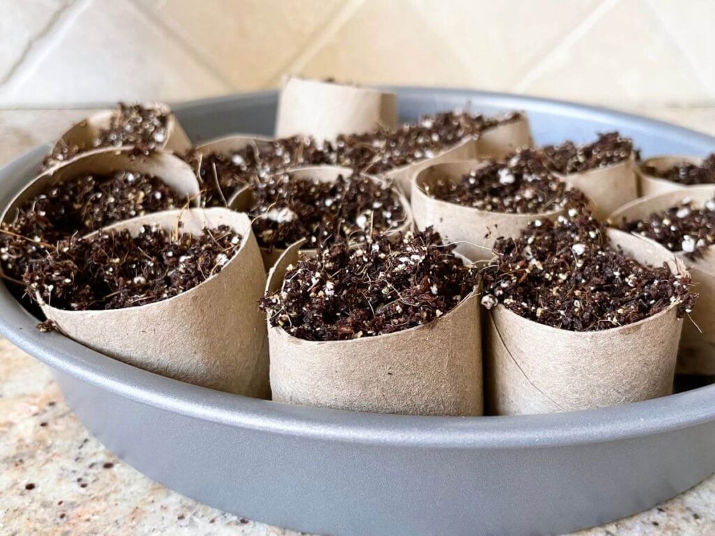 diy seed starting mix in toilet paper tube seed pots