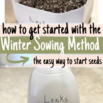 milk jug cut in half and filled with soil, and closed milk jug labeled leeks for winter sowing
