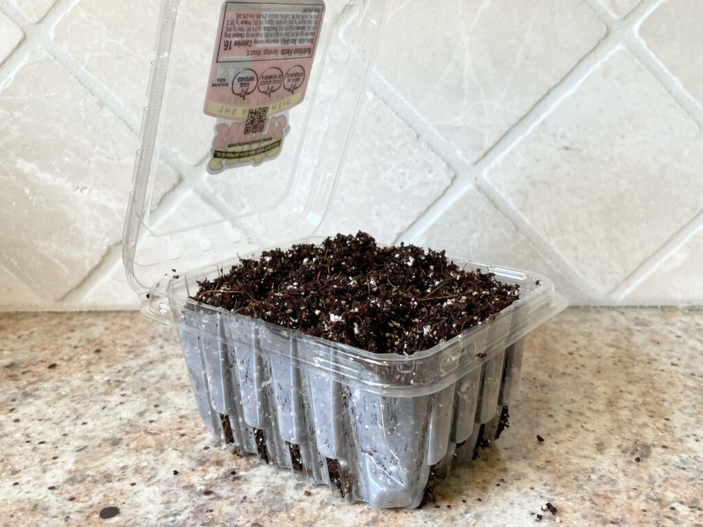 clamshell container with seed starting mix