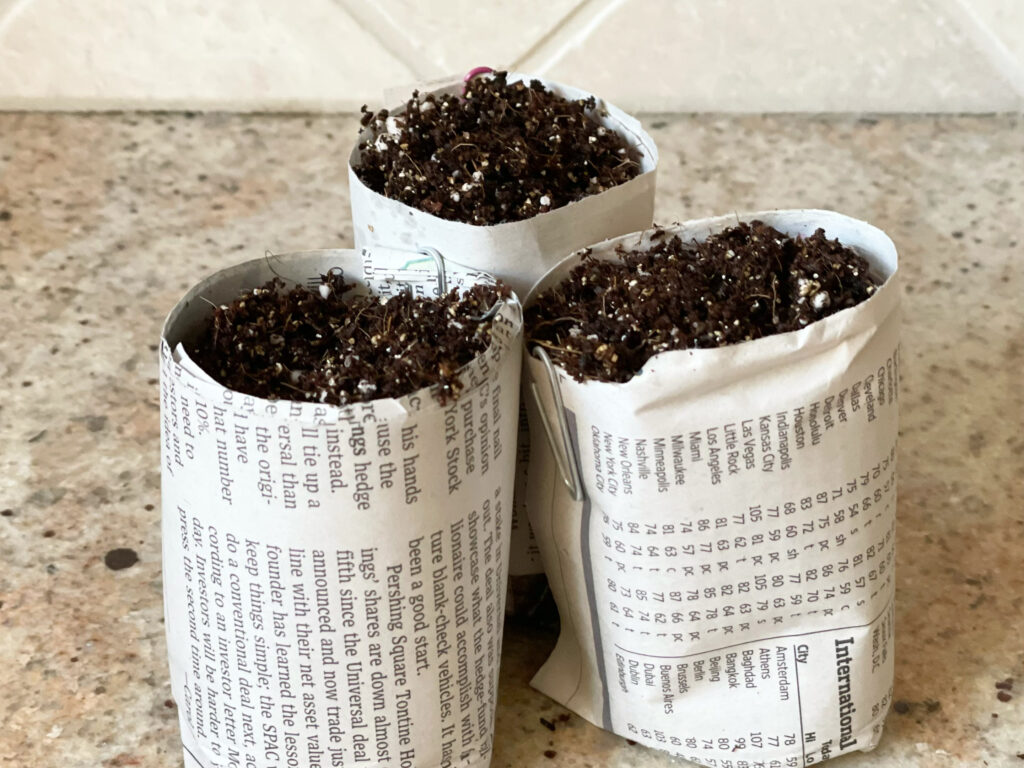 diy newspaper pots