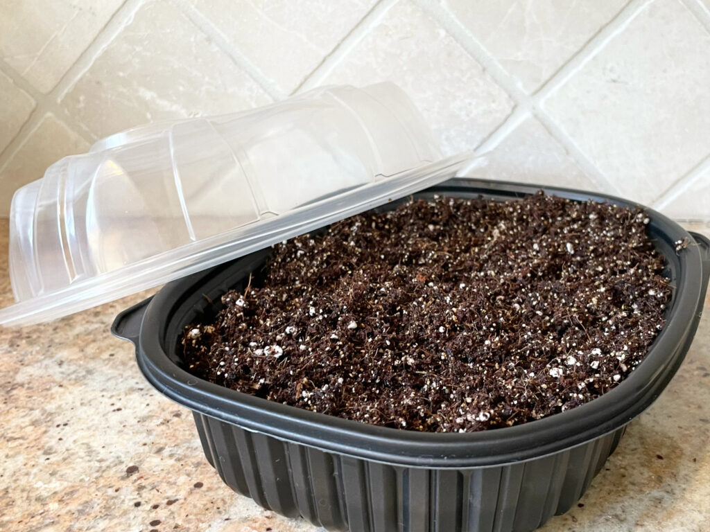 rotisserie chicken upcycled container for seed starting