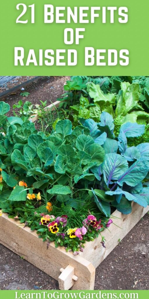 vegetables and flowers in raised garden bed