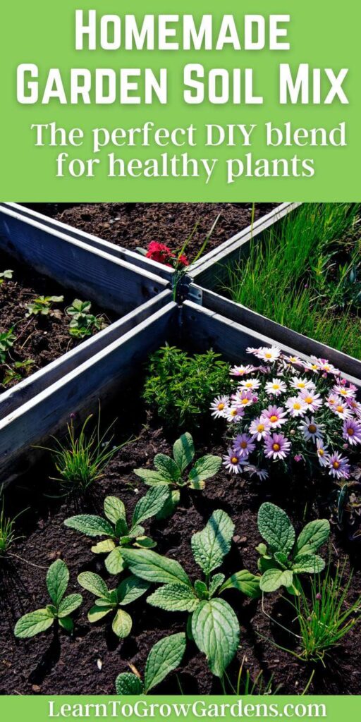 vegetables in raised garden bed