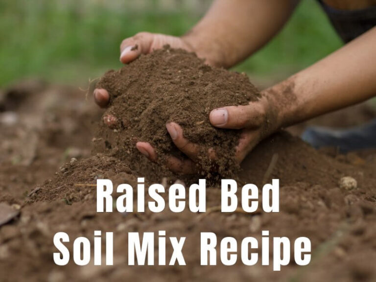 Raised Bed Soil Mix Recipe