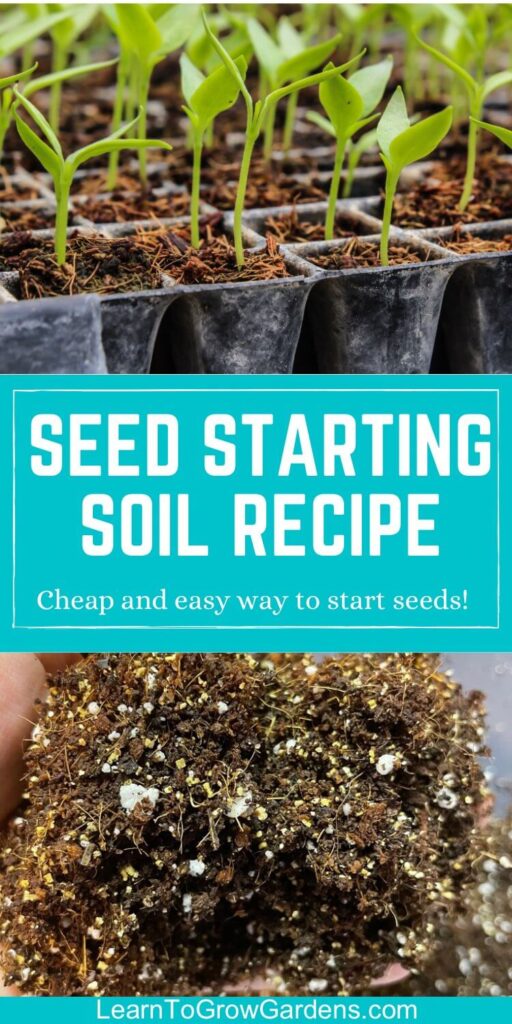 seedlings in diy seed starting soil