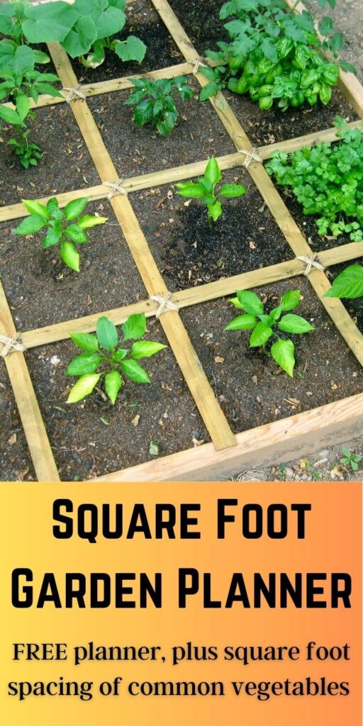 vegetables in square foot raised bed