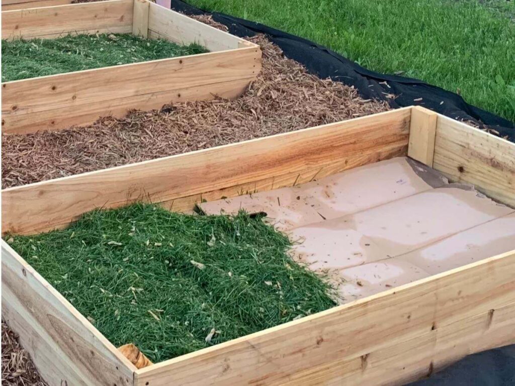 Filling raised garden beds with grass clippings and cardboard