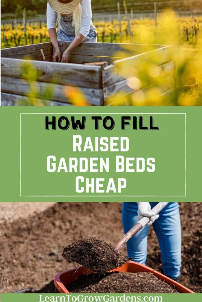 filling raised beds with soil