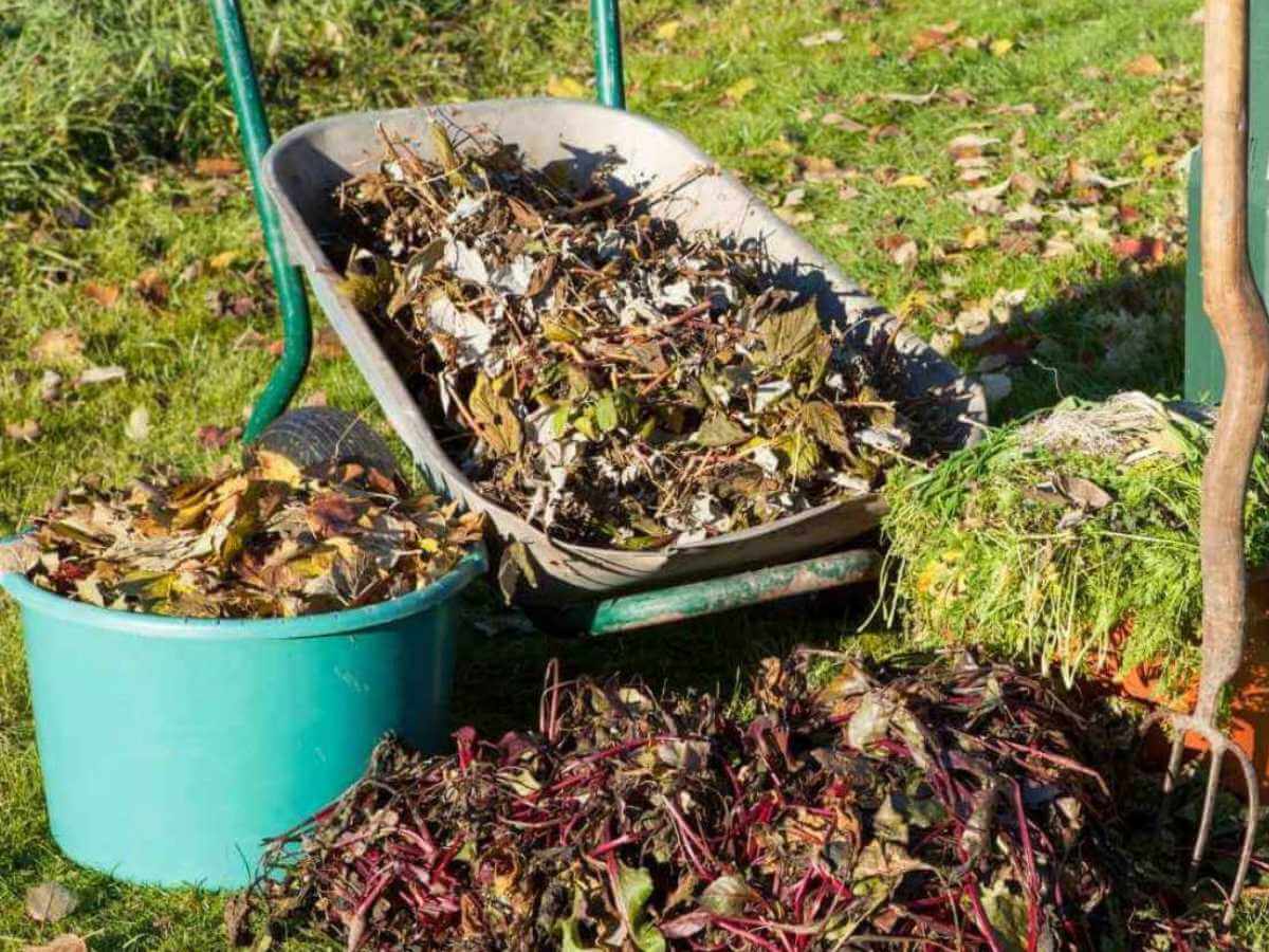How To Fill Raised Garden Beds Cheap - Learn To Grow Gardens