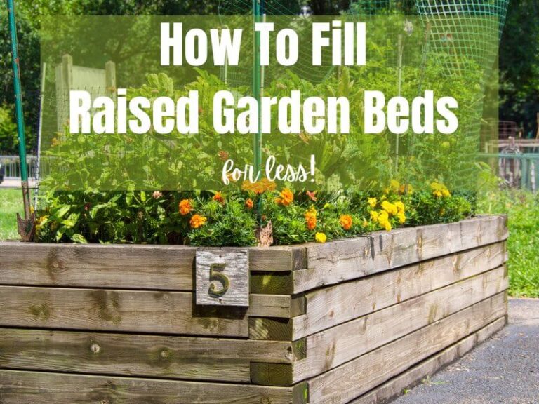 How To Fill Raised Garden Beds Cheap