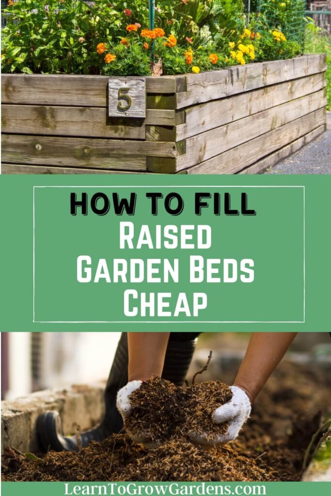 filling raised beds with soil