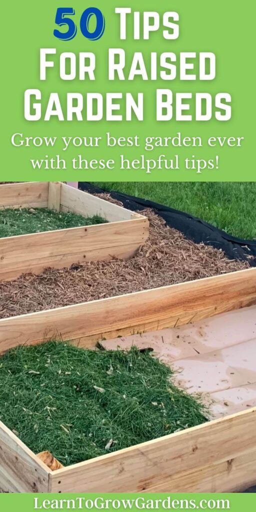 filling the bottom of new raised garden beds with cardboard and lawn clippings