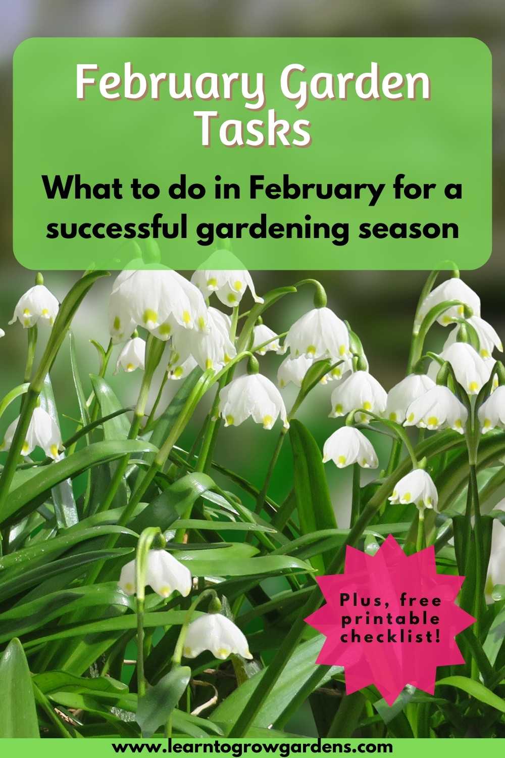 February in the Garden: Tips For What To Do This Month - Learn To Grow ...