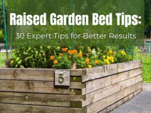 Raised Garden Bed Tips: 30 Expert Tips for Better Results - Learn To ...