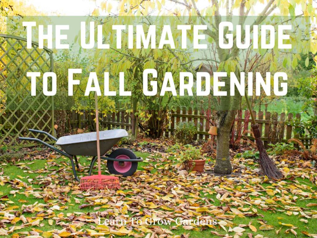 wheelbarrow and rake in fall scene for fall gardening