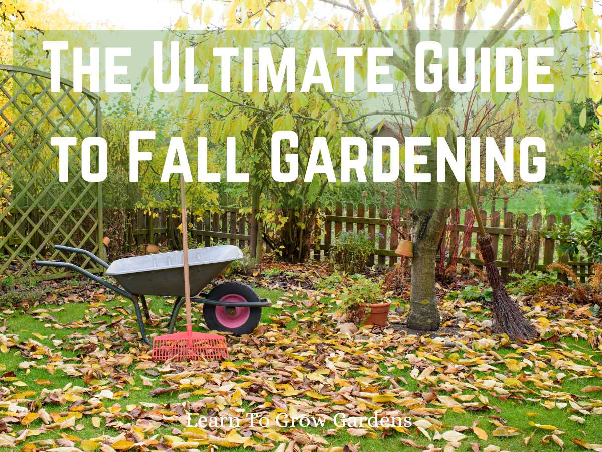 wheelbarrow and rake in fall scene for fall gardening