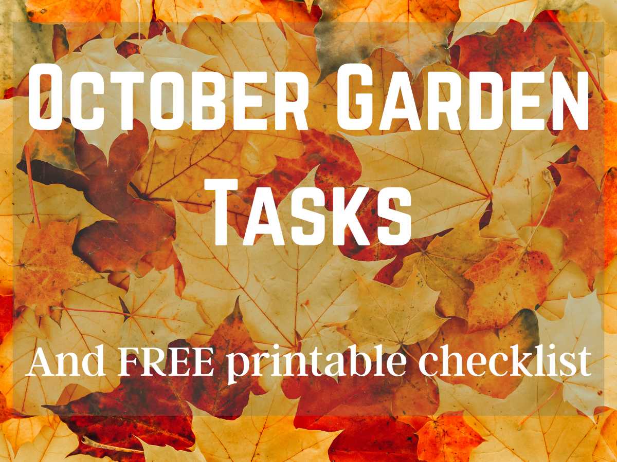 October garden tasks on autumn leaves