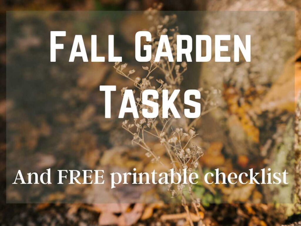 Fall garden with Fall Garden Chores list and free garden printables