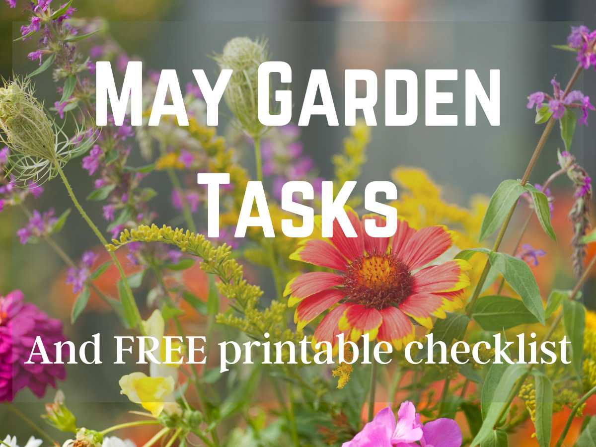 Wildflowers growing in a flower garden and May Garden Tasks