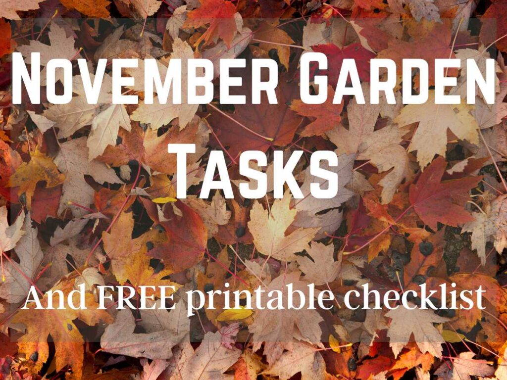 November Garden Tasks written on photo of fall leaves