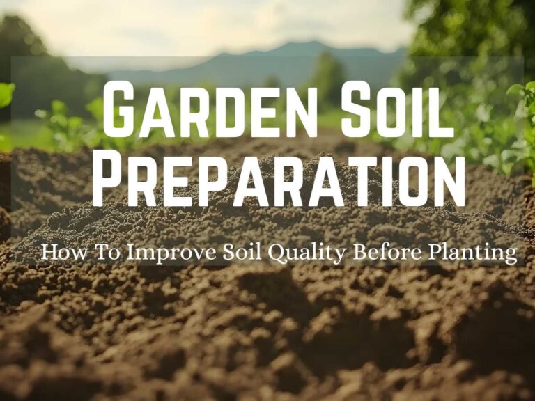 Healthy garden soil and garden soil preparation how to improve soil quality before planting over image